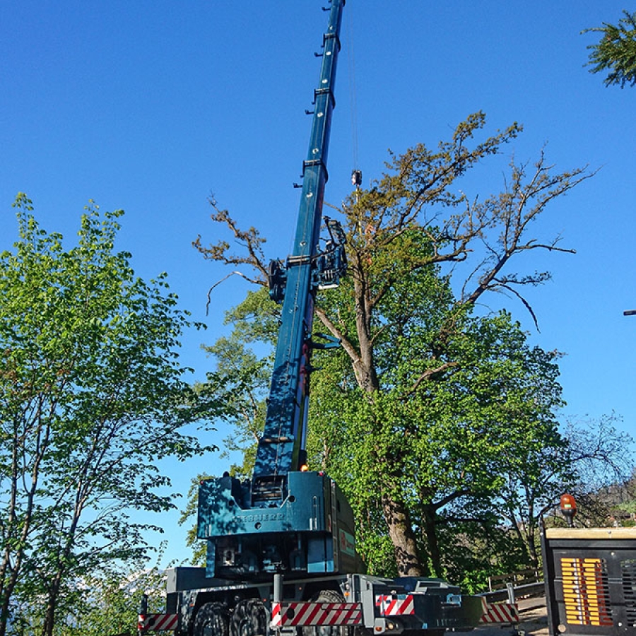 2017 > Sarnen > Holzschlag